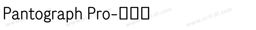 Pantograph Pro字体转换